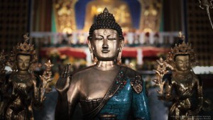 Announcement: Buddha Purnima on 21.5.2016