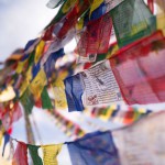 Karmapa Public Course, March 14–19