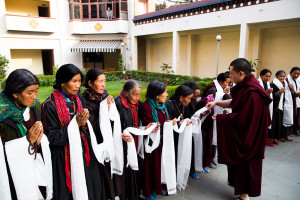 Pilgrims from Ladakh meeting with His Holiness Karmapa Trinley Thaye Dorje