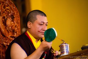 Karmapa Public Course / 2024